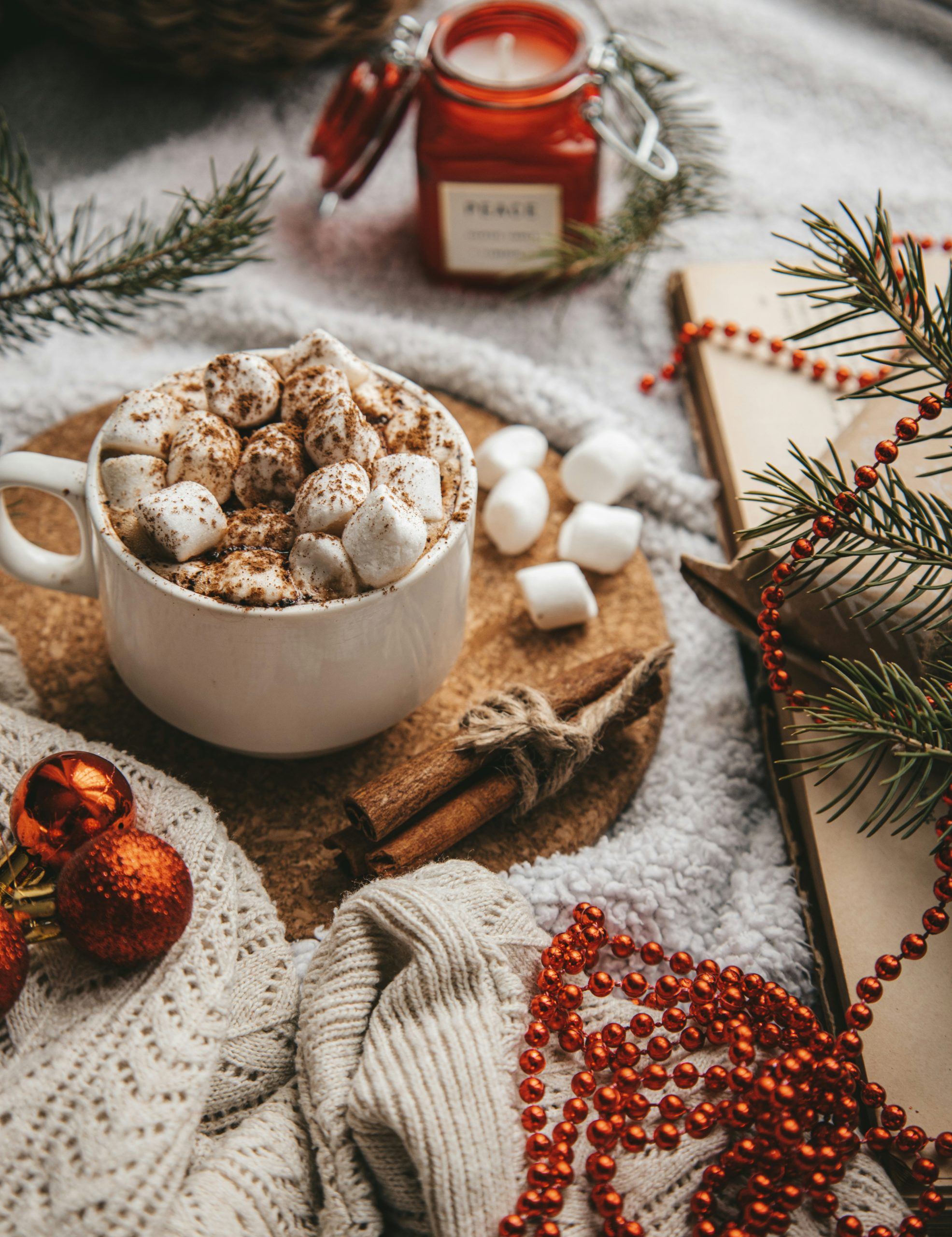 December ~ Member-only holiday get-together